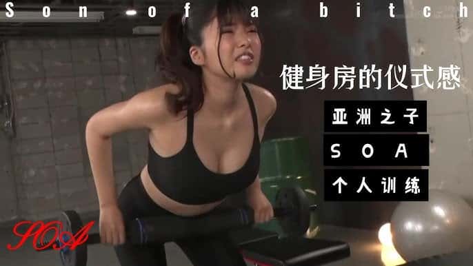 视觉数据5